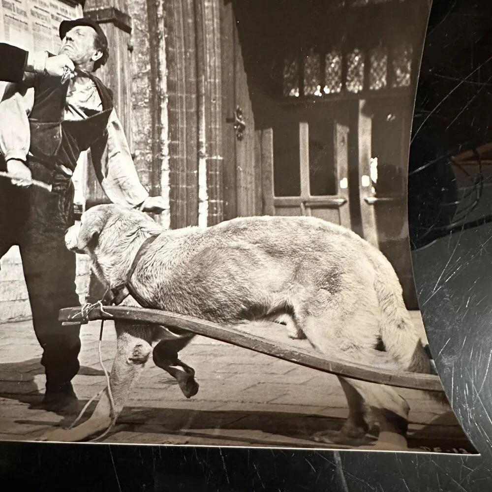 Vintage 1959 Movie Still "A Dog Of Flanders" 7x9 Black & White Scene Photo - Picture 8 of 13